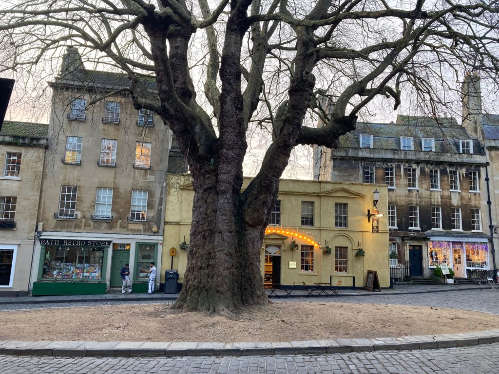 Abbey Green